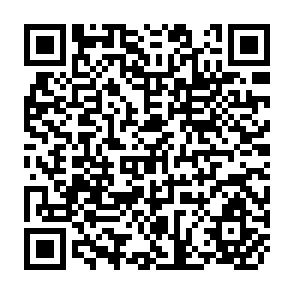 QR Code for Elements of Linear Programming with Economic Applications