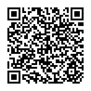 QR Code for The Unpromised Land