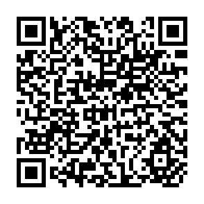 QR Code for Effects of Stabilization and Structural Adjustment Programmes on Food Security