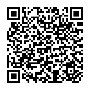 QR Code for The Development Dictionary