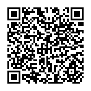 QR Code for Crop-Livestock Farming Systems in the Semi-Arid zone of Sub-Saharan Africa Ordering diversity and understanding change