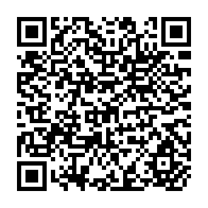 QR Code for The Dynamics of Irrigation System Performance