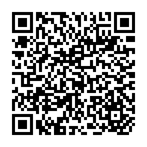 QR Code for Information Technology: Innovations and Applications