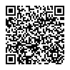 QR Code for Macrothesaurus