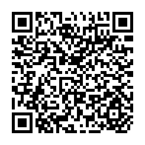 QR Code for Technical Handbook for the Paddy Rice Postharvest Industry in Development Countries