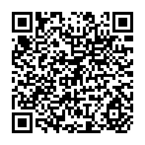 QR Code for International Monetary and Financial Issues For The 1990s