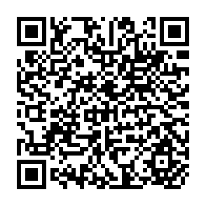 QR Code for The Indigenous Fermented Foods of the Sudan