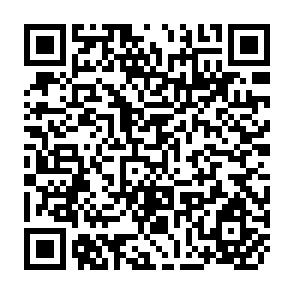 QR Code for Rice Marketing in Indonesia: Methodology Results and Implications of a Research Study