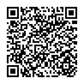 QR Code for Challenging the Professions
