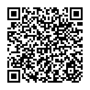 QR Code for New Directions For Development in Third world Countries