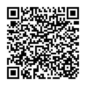 QR Code for Media as Bridge Maker