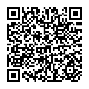 QR Code for Payments and Monetary Cooperation