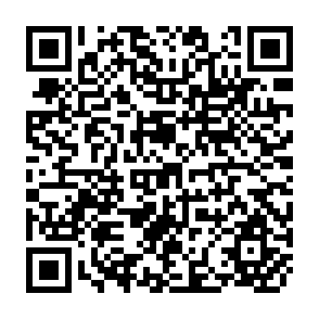 QR Code for Saarc and European Union