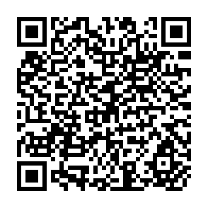QR Code for Rural Institution Finance in Bangladesh and Nepal: Review and Agenda for Reforms