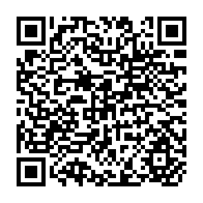 QR Code for Fiscal Deficits and Current Account Imbalances of the South Pacific Countries: A Case Study of Vanuatu