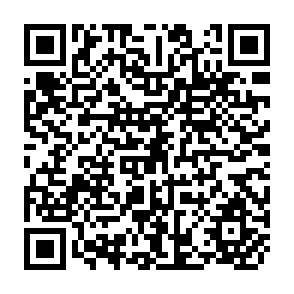 QR Code for The Inability of Farming Systems Research to Deal with Agricultural Policy