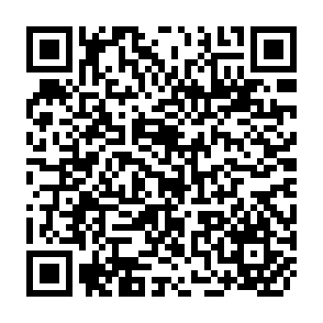 QR Code for The unquiet woods