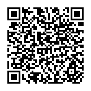 QR Code for The Role of the state in Economic Development: Theory,The East Asian Experience,and the Malaysian Case