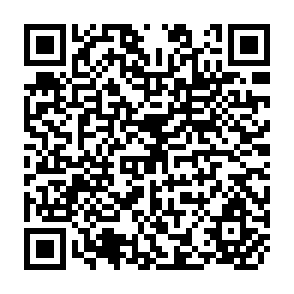QR Code for Handbook for Incorporation of Social Dimensions in Projects
