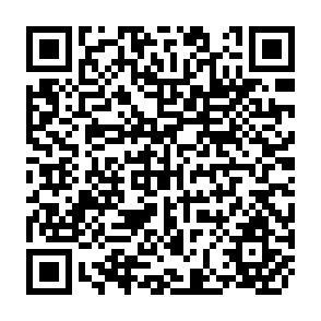 QR Code for Agrarian Transformation in Nicaragua:Markets,Peasant Rationality and Choice of Techniques