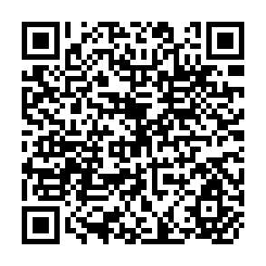 QR Code for Irrigation Development, Food Production and the State in Historical Perspective
