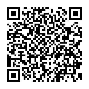 QR Code for Institutional Options for the Provision of Infrastructure