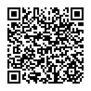 QR Code for Risk Management in Developing Countries