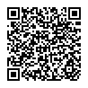 QR Code for How Firms in Developing Countries Manage Risk