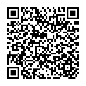 QR Code for Cereal Policies Review 1990-91