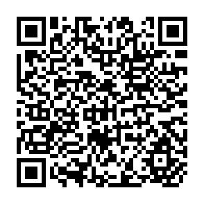 QR Code for Agricultural Price Analysis