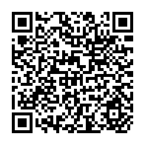 QR Code for Growth Triangles: Conceptual Issues and Operational Problems