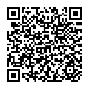 QR Code for Sustainable Development, Environment and Poverty Nexus