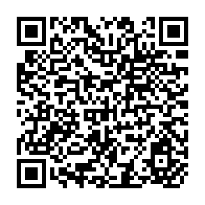 QR Code for Intermediate Services and Economic Development:The Malaysian Example