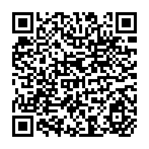 QR Code for Sloping Agricultural Land Technology (SALT) A Regenerative Option for Sustainable Mountain Farming
