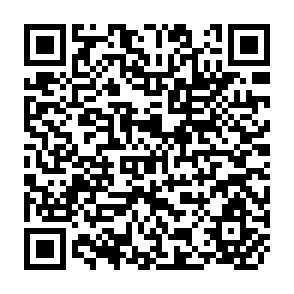 QR Code for Vietnam: Some Macroeconomic Dimensions of Doi Moi