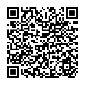 QR Code for Agrarian reform and development in Brazil Re-opening a debate in a time of crisis
