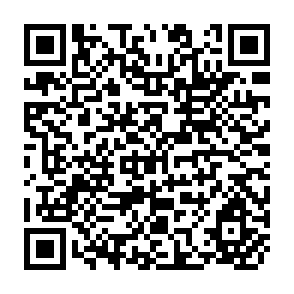 QR Code for The Economics Of Technology Change