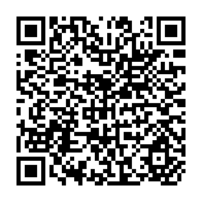 QR Code for Financial Liberalization, Growth and Adjustment: Some Lessons from Developing Countries