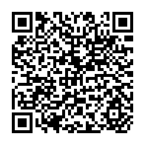 QR Code for How Third World Rural Households Adapt to Dietary Energy Stress The Evidence and Issues