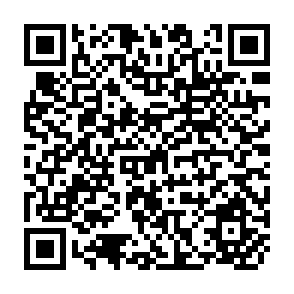 QR Code for Neither Market Nor State:Government of Common-Pool Resources in the Twenty-first century