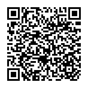 QR Code for Library and Information Education in China