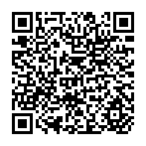 QR Code for Budgeting for Disarnament : The Costs of War and Peace