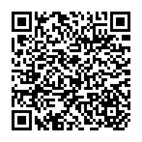 QR Code for Varieties of ethnic politics and ethnicity discourse