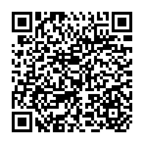 QR Code for Beyond concrete and steel' Power realations and gender : The case of vietnamese women in the detention centers in Hong Kong