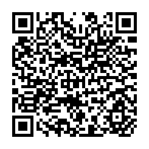 QR Code for Let's Look at the Figures