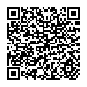 QR Code for The Nonprofit Sector in The National Accounts: A Numerical Exercise with Data for the Netherlands