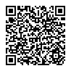 QR Code for The State and Culture Transformation: Perspective from East Asia