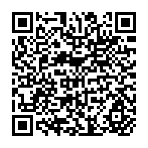 QR Code for The Newly Industrialising Economics of East Asia