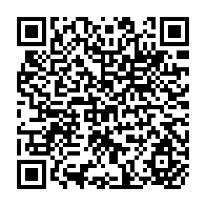 QR Code for Underdevelopment in Planttaion Economics of the Third World- Persisten Poverty