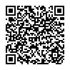 QR Code for The Political Economy of Hunger